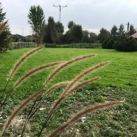 Zielony Domek Dwikozy Exterior foto