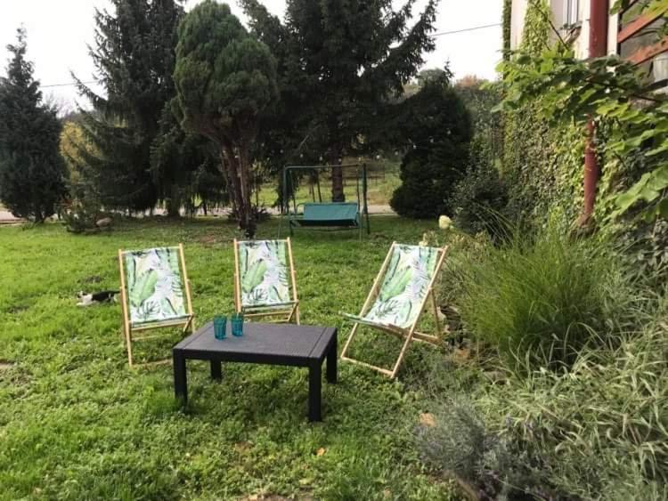 Zielony Domek Villa Dwikozy